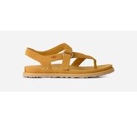UGG® GoldenGaze Zehentrenner-Sandale für Damen in Wheat Field, Größe 40, Wildleder 1175134-WTFL-09