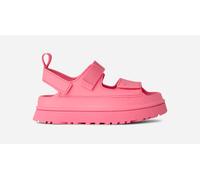 Ugg - Plateausandalen - W Goldenglow Tropical Pink für Damen aus Leder - Größe 40 - Rosa Rosa 40