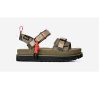 UGG® Goldenstar Wildwood Sandale für Damen in Green, Größe 43, Wildleder 1180070-BTOL-12