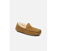 UGG - Hausschuhe Ascot - Beige - Größe 42