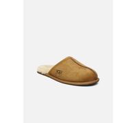 UGG Hausschuhe Scuff Leder Braun Größe 41