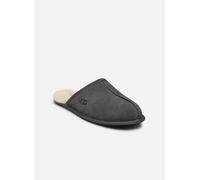 UGG Scuff für Herren, grau, Größe 41 ½ EU