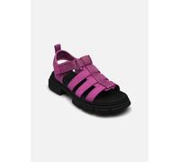 UGG - Sandalen K ASHTON MULTISTRAP - Violett - Größe 36