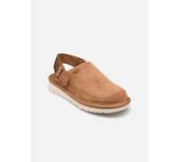 UGG Goldenstar Clog Holzschuh, kastanienbraun, 35 EU