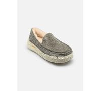UGG - Slipper M Ascot Wrap Tech - grün - Größe 41