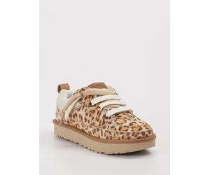 UGG Sneaker Lo Lowmel Plains in beige in Größe: 37 für Damen