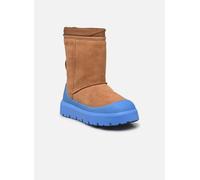 UGG - Stiefel M CLASSIC SHORT WEATHER HYBRID - braun - Größe 41