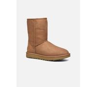 UGG - Stiefeletten & Boots W Classic Short II - Braun - Größe 38