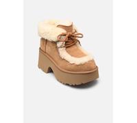 UGG - Stiefeletten & Boots W Esmee Lace Up - braun - Größe 41