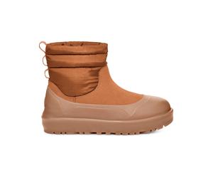Ugg - Warme Stiefel - Herren - Classic Mini Mod - M Classic Mini Mod Chestnut für Herren aus Wolle - Größe 43 - Braun Braun 43