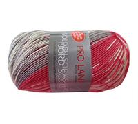 Unbekannt Pro Lana Fjord Socks 4-fädig Color 183 rot grau, Sockenwolle Norwegermuster musterbildend, 278477