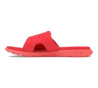 Under Armour Ignite Pro Slide Sandale für Damen, (603) Red Solstice/Coho/Coho, 38 EU