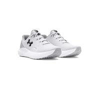 Under Armour Laufschuhe "Charged Surge 4" in Grau - Größe 44 | Herrenschuhe Outdoorschuhe