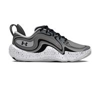 Under Armour Spawn 6 Hand-Basketballschuhe grau 40.5