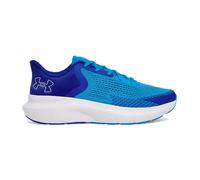 Laufschuhe Under Armour UA Charged Rogue 5 197778984974 Größe 45 EU