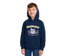 Harry Potter Hoodie für Jungen - Hogwarts Kinder Kapuzenpullover Pullover mit Kapuze Sweatshirt Blau (DE/NL/SE/PL, Numerisch, 86, 92, Regular, Blau)