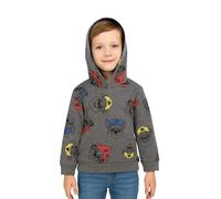 United Labels Paw Patrol Hoodie für Jungen - Kinder Kapuzenpullover Pullover mit Kapuze Sweatshirt Grau (DE/NL/SE/PL, Numerisch, 86, 92, Regular, Grau)