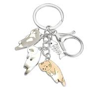 Uqezagpa Schlüsselanhänger-Zubehör, niedliche Katze, Fischgräten-Schlüsselanhänger, einzigartiger Schlüsselanhänger, Handtaschen-Zubehör, Legierungsmaterial, Taschenschmuck für Teenager, silber, Style