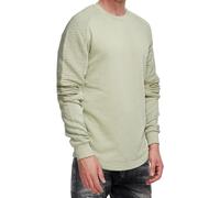 Sweatshirt RUSTY NEAL, Herren, Gr. XXL, grün (hellgrün), 70% Baumwolle, 30% Polyester, unifarben, normal, Rundhals, Sweatshirts Sweatshirt, mit geripptem Ärmeldesign (57845820-XXL) hellgrün