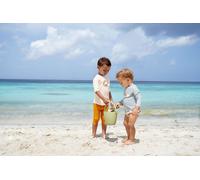 LÄSSIG Splash & Fun Schwimmshirt Badeshirt Rashguard Kurzarm mit UV-Schutz (DE/NL/SE/PL, Numerisch, 92, Lion Nature)