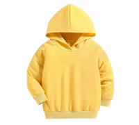 Valcatch Kleinkind Baby Junge Mädchen Pullover Sweatshirt Langarm Hoodie Basic Kapuze Sport Tops Casual Frühling Herbst Outfits für kleine Kinder 18M-6J