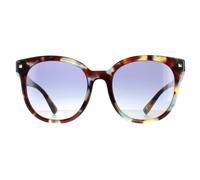 Valentino Runde Damen Havanna Mehrfarbig Blau Gradient VA4083 Sonnenbrille Einheitsgröße