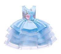 Valin Mädchen Ärmelloses Stickerei Tüll Rüschen Kleid,Blau,140