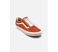 Vans Old Skool burnt orange (801-footwear) 4.5