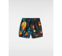 Vans - Primary Print Boardshorts, Herren, Schwarz, Größe: XL