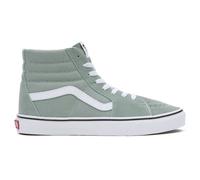 Vans Sk8 Hi Color Theory 38