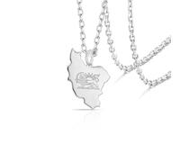 VASSAGO Iran Karten Halskette Edelstahl Löwe Und Sonne Persische Flagge Anhänger Halskette Iranisches Persisches Schmuckstück (Silber 3)