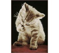 Vervaco Gezählter Kreuzstich Stickpackungen DIY Stickbilder Kätzchen Wanddekoration Handarbeit Set für Erwachsene Kreatives Handwerk ca. 22 x 30 cm Kreuzstichbilder Set Hausdeko