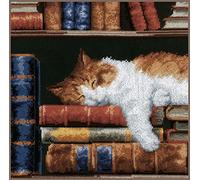 VERVACO Gezählter Kreuzstich Stickpackungen DIY Stickbilder Katze im Bücherregal Wanddekoration Handarbeit Set für Erwachsene Kreatives Handwerk ca. 26 x 26 cm Kreuzstichbilder Set Hausdeko