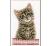 Vervaco Gezählter Kreuzstich Stickpackungen DIY Stickbilder Katze Wanddekoration Handarbeit Set für Erwachsene Kreatives Handwerk ca. 18 x 28 cm Kreuzstichbilder Set Hausdeko