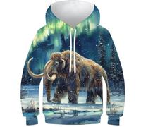VesFy Aurora und Mammut Kapuzenpullover Pullover Hoody 3D Druck Arktis Sweatshirt Drawstring Hoodie Streetwear Mit Tasche Eignung Jungen Und Mädchen Casual Langarm Unisex 8-10Y