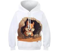 VesFy Eichhörnchen Sweatshirt 3D Druck Tier Hoody Pullover Kapuzenpullover Mit Tasche Hoodie Drawstring Streetwear Eignung Jungen Und Mädchen Casual Langarm Unisex 7-9Y
