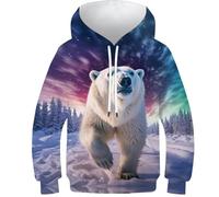 VesFy Eisbär Hoody 3D Druck Tier Sweatshirt Jumper Pullover Hoodie Mit Tasche Streetwear Drawstring Eignung Jungen Und Mädchen Casual Langarm Unisex 13-15Y