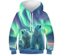VesFy Eisbär Pullover Jumper 3D Druck Tier Hoody Sweatshirt Hoodie Drawstring Streetwear Mit Tasche Eignung Jungen Und Mädchen Casual Langarm Unisex 7-9Y