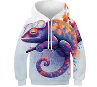 VesFy Künstlerische Eidechse Hoody Sweatshirt Pullover Kapuzenpullover 3D Druck Tier Hoodie Streetwear Mit Tasche Drawstring Eignung Jungen Und Mädchen Casual Langarm Unisex 7-9Y