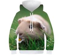 VesFy Niedliches Meerschweinchen Hoody Sweatshirt Pullover Kapuzenpullover 3D Druck Tier Pet Hoodie Streetwear Mit Tasche Drawstring Eignung Jungen Und Mädchen Casual Langarm Unisex 10-12Y