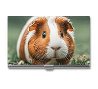 VFKLT Cut Guinea Visitenkartenetui, schlank, tragbar, Metall, Visitenkarten-Organizer, Kreditkartenetui, Multi-Kartenetui für Männer und Frauen, Reisen, Büro, silber, Einheitsgröße, Casual