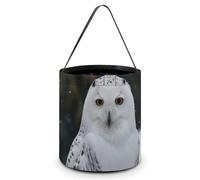 VFMKT Einkaufstasche mit Schnee-Eule, wiederverwendbar, für Halloween, Süßigkeiteneimer, Süßigkeitentasche, Lebensmittelbeutel mit Griffen für Halloween-Partyzubehör, Stil, Einheitsgröße, Stil:,