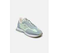 Victoria - COSMOS SERRAJE MONOCOLOR - grün - Sneaker - Größe 39