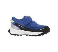Viking Expower GTX 2V blue (35) 30