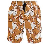 visesunny New Summer Herren Badehose, schnelltrocknend, für Urlaub, Strand, kurz, leger, Corgi, Medium