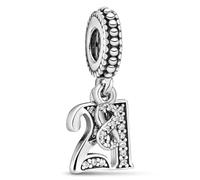 VIVILE Infinity Charms 925 Sterling Silber,21. hochzeitstag Bead Charm für damen,Family,Blume,Glühwürmchen,Moments ME Anhänger für Armbänder,Dupes,Geschenk für Geburtstag,Jubiläum,Mode Schmuck