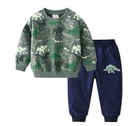 Volunboy Kleinkind Junge Dinosaurier Sweatshirt, Langarmshirt und Hosen 2tlg kleidung Set für 2-6 Jahre(Grün-2,4-5 Jahre,Größe 120)
