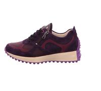 Waldläufer ORDER AURIGA DOLMIAS ORD. violett 5,5