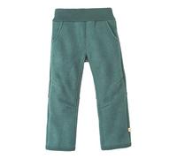 WALK-HOSE Kinder - 100% Bio-Merino, Wollwalk - atmungsaktiv & extra warm - unisex Gr. 86 - 140 - nachhaltig & fair - super robust, mit elastischem Bund - made in Germany | Eukalyptus Gr. 122-128