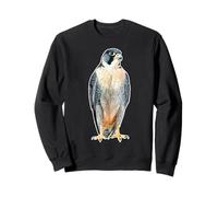 Wanderfalke x Falke Sweatshirt